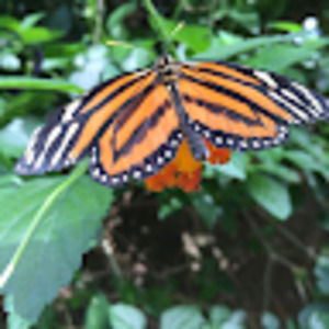 Meet your Posher, Laura